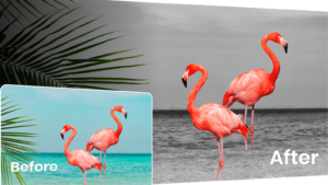 Color-Pop-Effects 5