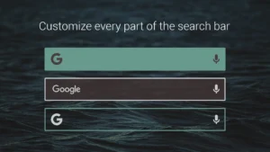 Custom-Search-Bar-Widget-CSBW 4