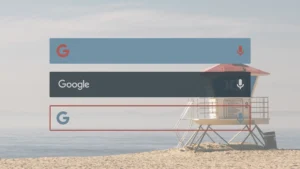 Custom-Search-Bar-Widget-CSBW 11