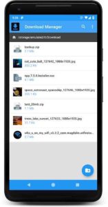 DOWNLOAD-MANAGER 1