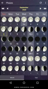 Daff-Moon-Phase 4
