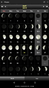 Daff-Moon-Phase 13