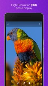 Darkroom-Gallery-Premium 6