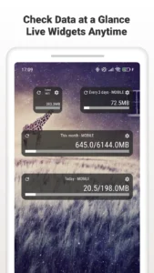 Data-Usage-Monitor-Full 3