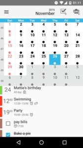 Day-by-Day-Organizer-PRO 5