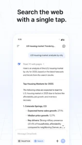DeepSeek-AI-Assistant 3