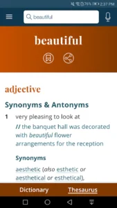 Dictionary-Merriam-Webster 5