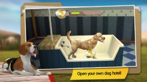 Dog-Hotel 1