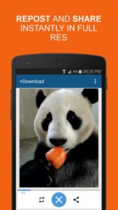 Download-4-Instagram-Twitter-Pro 3