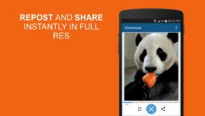 Download-4-Instagram-Twitter-Pro 2