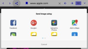 Dual-Browser-Paid 2