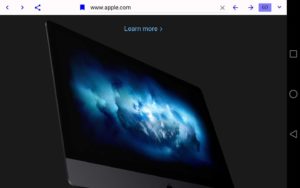 Dual-Browser-Paid 4