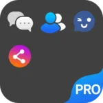 Dual Space Pro logo