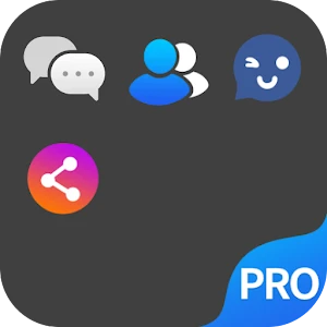 Dual Space Pro logo