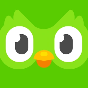 Duolingo Full  logo