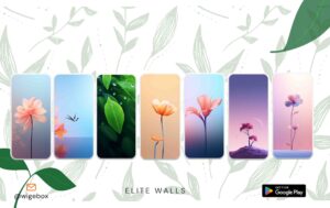 Elite-walls 3