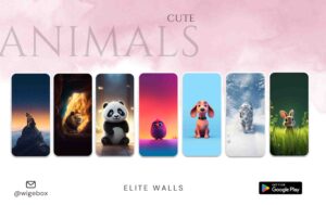 Elite-walls 5