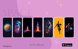 Elite-walls 7