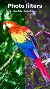 Enhance-it-Fix-your-Photos 5