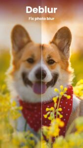 Enhance-it-Fix-your-Photos 8