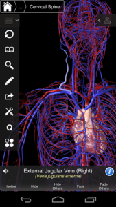 Essential-Anatomy-3 6