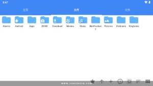 FV-File-Pro 10