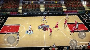 Fanatical-Basketball 5