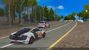 Final-Rally 6