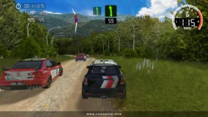 Final-Rally 7
