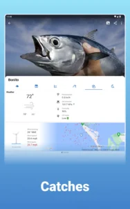 Fishing-Points 14