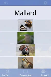 Flashcards-Deluxe 2