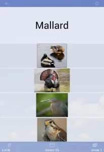 Flashcards-Deluxe 10