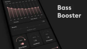 Flat-Equalizer-Bass-Booster 3