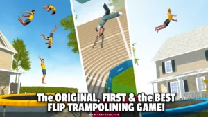 Flip-Master 1