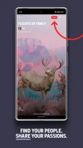 Flipboard 5