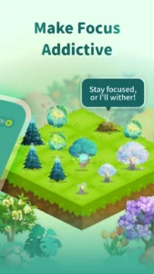 Forest-Focus-for-Productivity 1