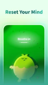 Forest-Focus-for-Productivity 5