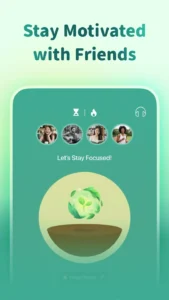 Forest-Focus-for-Productivity 7