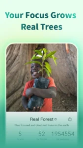 Forest-Focus-for-Productivity 8