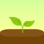 Forest - Focus for Productivity logo