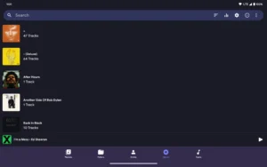 Fossify-Music-Player 8