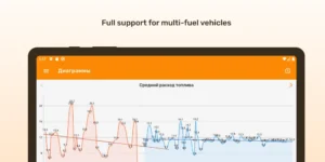 Fuelmeter-Fuel-consumption 10