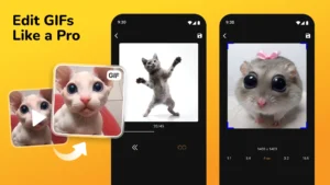 GIF-Maker-Video-To-GIF 2