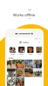 Google-Gallery 3