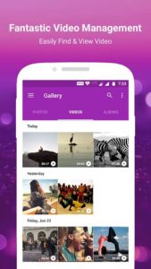Gallery 2