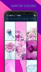 Girly-Wallpapers-Backgrounds 4