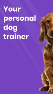 GoDog-Dog-Training-App 3