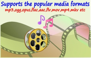 Gold-Media-Converter-Pro 5
