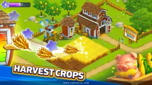 Golden-Farm 1