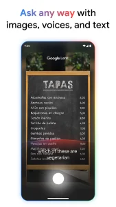Google-App 4